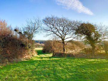 Bottom of orchard field