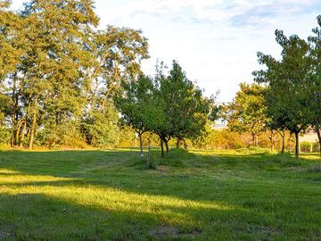 Shaded motorhome pitches