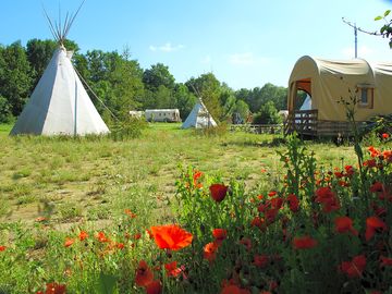 Tipi field (added by manager 21 Oct 2020)