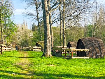 Camping pods under the trees