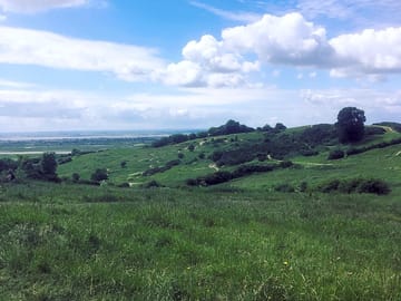 Views around the site (added by manager 10 Jul 2018)