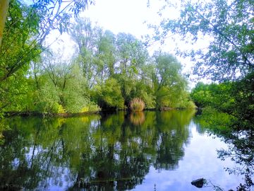 River Lee Navigation (added by manager 02 Feb 2023)