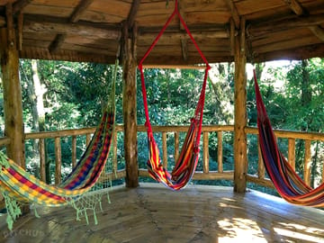 Deck with hammocks (added by manager 31 Oct 2016)