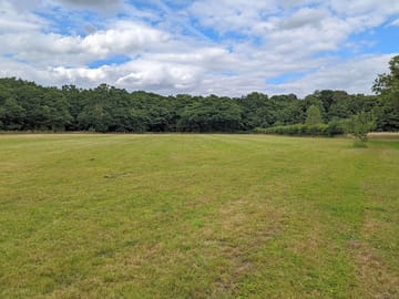 Meadow (added by manager 05 Jul 2022)