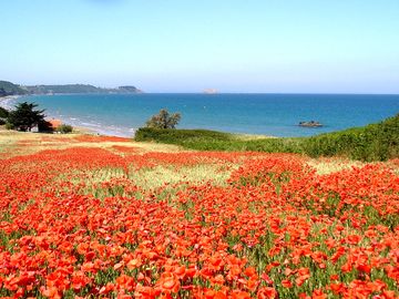 St Pabu beach (added by manager 22 Jun 2016)