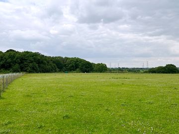 Pitches overlooking grazing fields and woodland