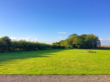 View from the entrance across the site