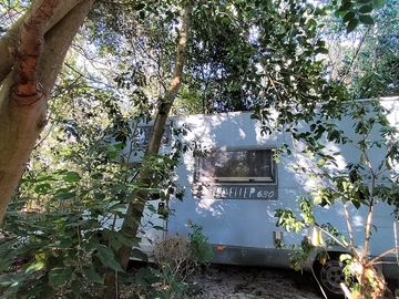 Caravan tucked among the trees