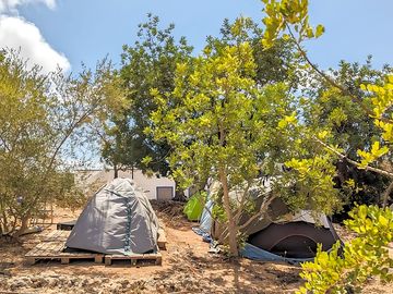 Pitches among the olive trees