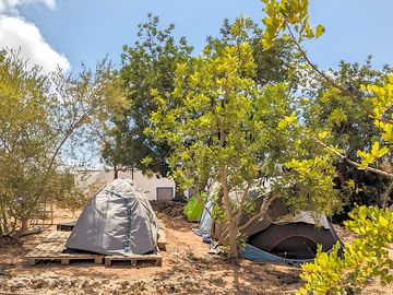 Pitches among the olive trees (added by manager 12 Sep 2023)