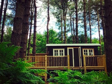 Peaceful shepherd's hut in the woods (added by manager 14 Jul 2016)