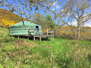 The Willow Yurt
