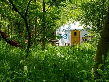 Glamping in the woods (added by manager 09 Jul 2021)