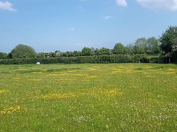 Peaceful Shanti's Meadow (added by manager 24 Jun 2021)
