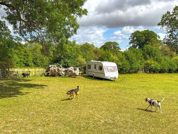 Camping pitches – dogs are welcome