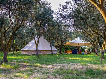 The bell tent (added by manager 01 Aug 2019)