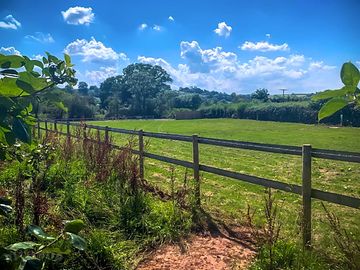 A view over the site (added by manager 13 Aug 2021)