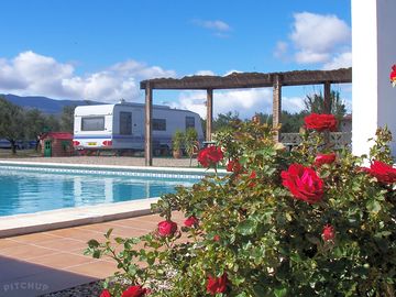 Sunbathe by the pool and enjoy the weather