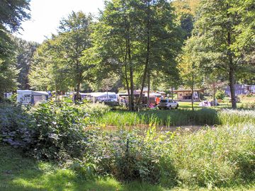 Grass pitches near the pond