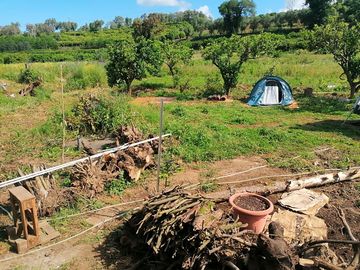 Camping field