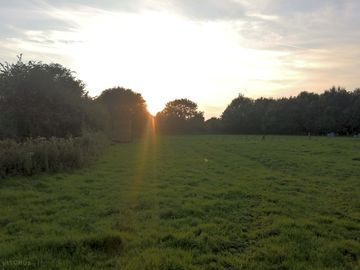 Sunset over the meadow (added by manager 24 Aug 2021)