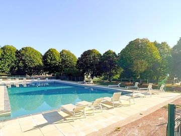 Swimming pool surrounded by trees
