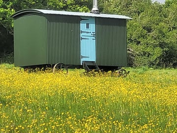Shepherd's hut in a wildlfower meadow (added by manager 23 May 2022)