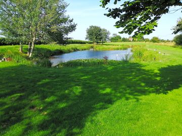 A quiet rural site