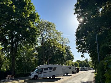 Pitches surrounded by trees