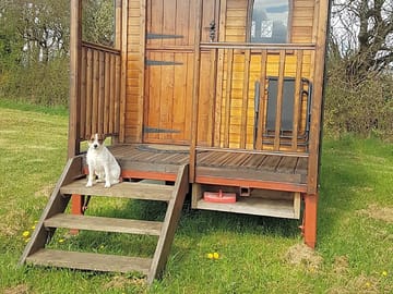 The shepherd's hut (added by manager 22 Apr 2022)