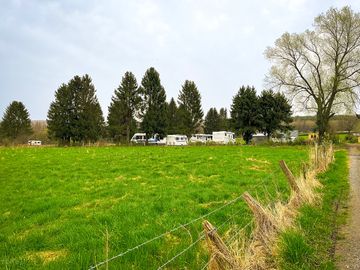 The field