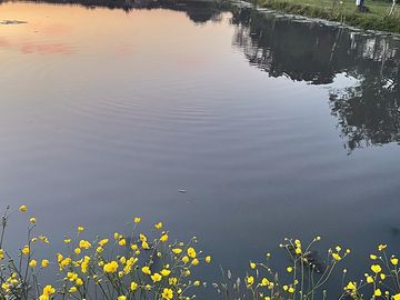 Sunset with pitches around the water