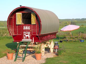 Wagon