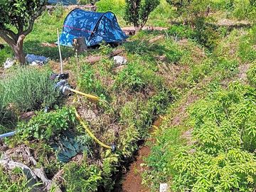 Pitch tucked into the undergrowth