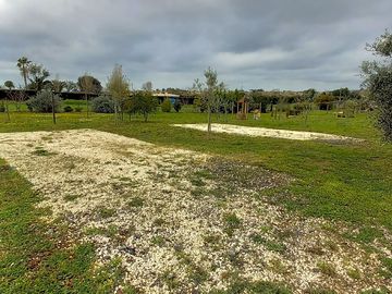 Pitches surrounded by greenery
