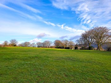 The grassy pitches