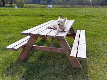 Relaxing in the sun