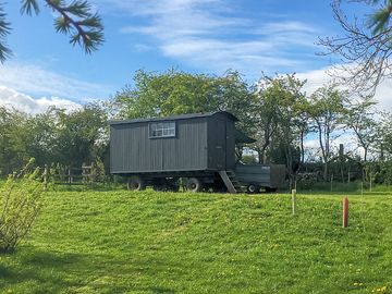 Ruby - Shepherds Hut in situ