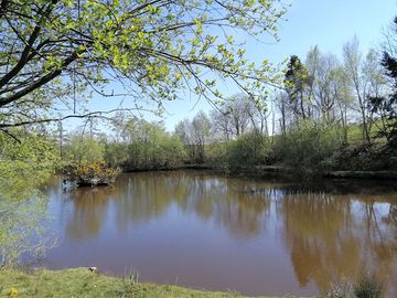 Lake and ashdown forest