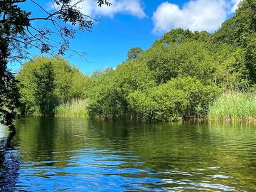 The river crake