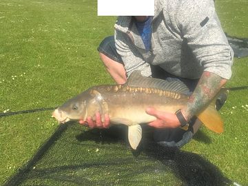 Great catch!!