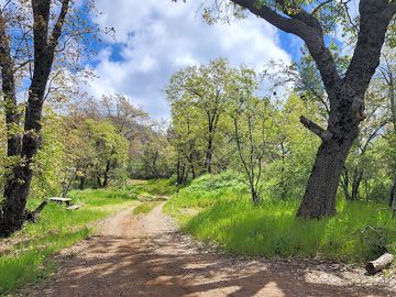 Site #16 with the picnic table on left