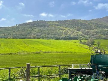 Views from the site