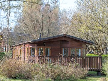 Lodge among the trees