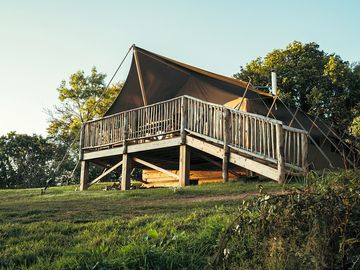Foxes earth exterior