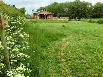 Camping field