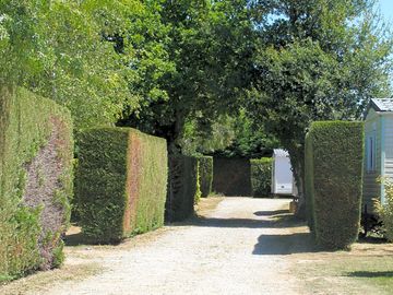 Around the site