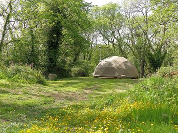 Geodesic dome on a leafy pitch