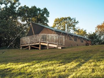 Badger sett exterior