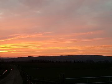 Sunset at brooklyn grange farm